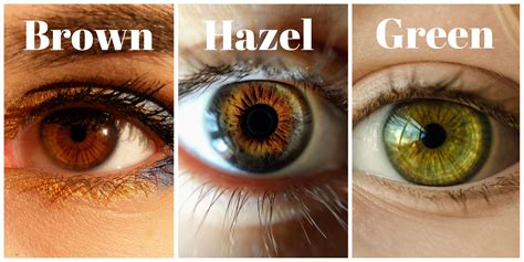 best hair color for hazel eyes|More.